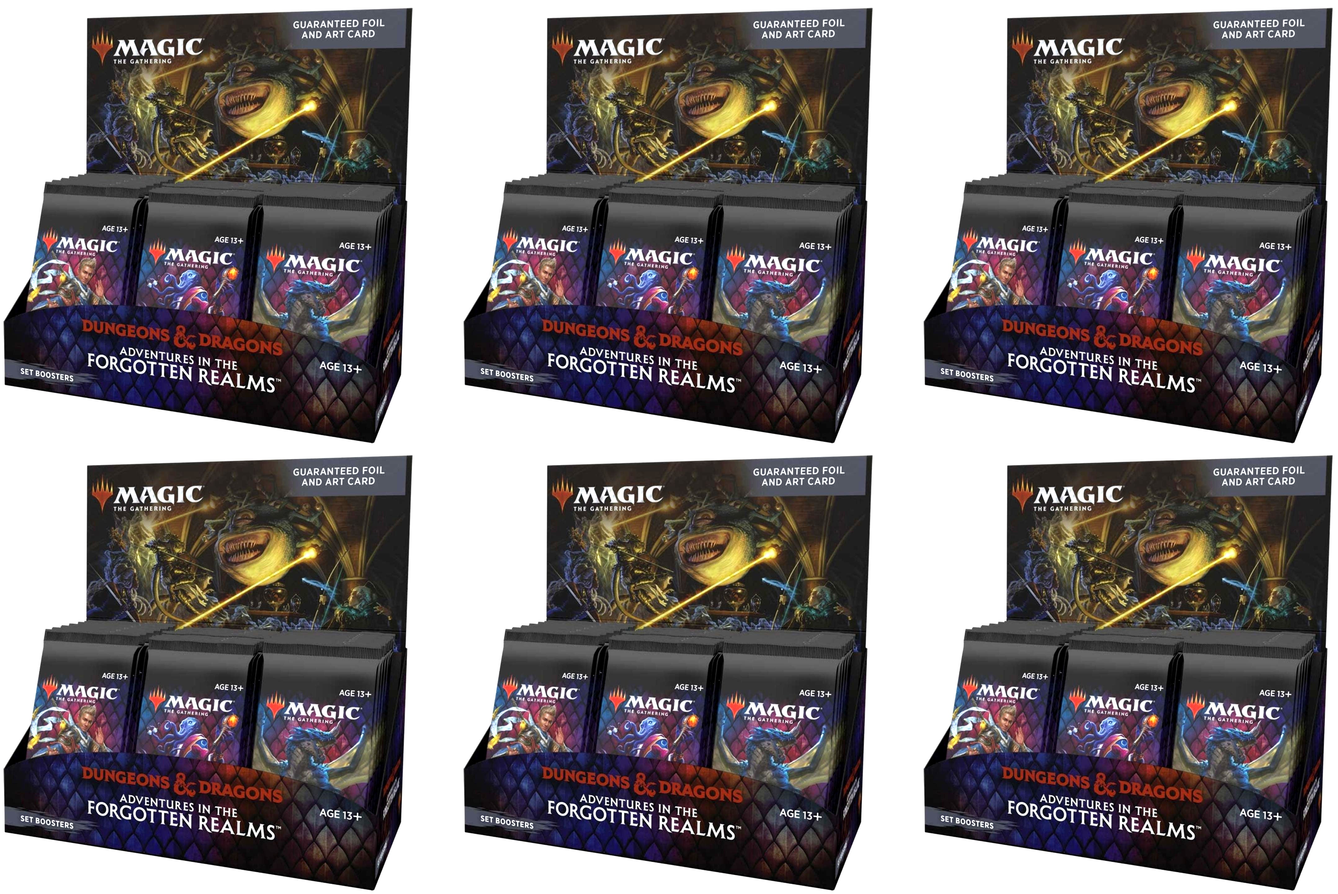 Dungeons & Dragons: Adventures in the Forgotten Realms - Set Booster Case | Devastation Store