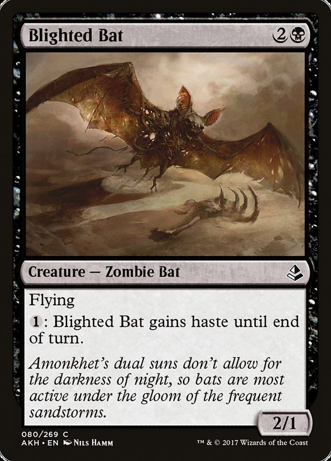 Blighted Bat [Amonkhet] - Devastation Store | Devastation Store