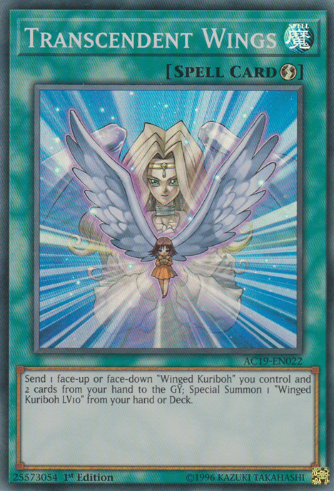 Transcendent Wings [AC19-EN022] Super Rare | Devastation Store