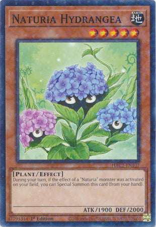 Naturia Hydrangea (Duel Terminal) [HAC1-EN107] Common | Devastation Store