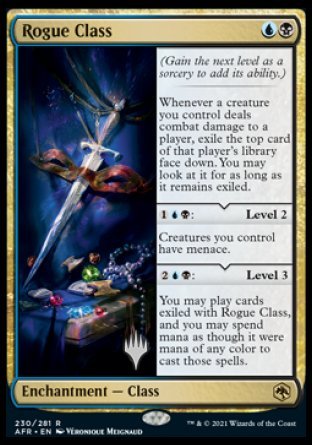 Rogue Class (Promo Pack) [Dungeons & Dragons: Adventures in the Forgotten Realms Promos] | Devastation Store