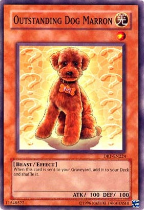 Outstanding Dog Marron [DR1-EN224] Common | Devastation Store