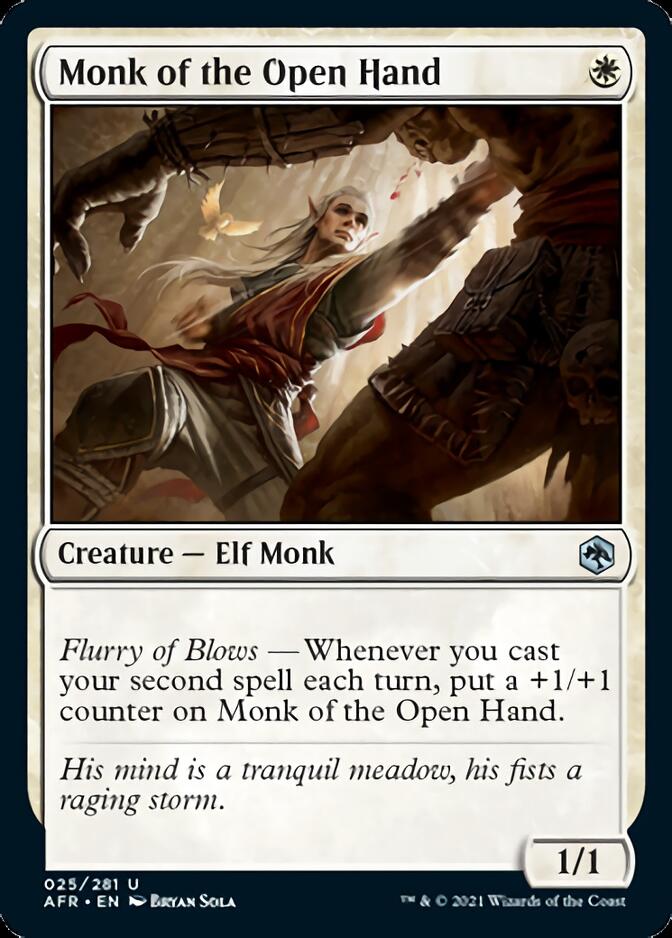 Monk of the Open Hand [Dungeons & Dragons: Adventures in the Forgotten Realms] | Devastation Store