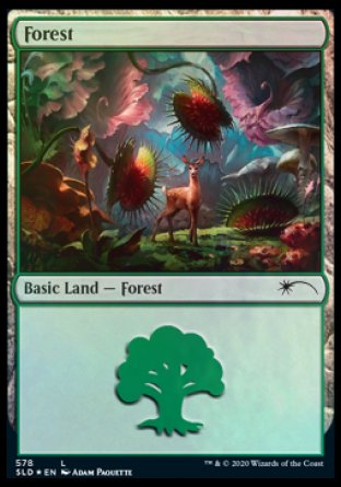 Forest (Predatory) (578) [Secret Lair Drop Promos] | Devastation Store