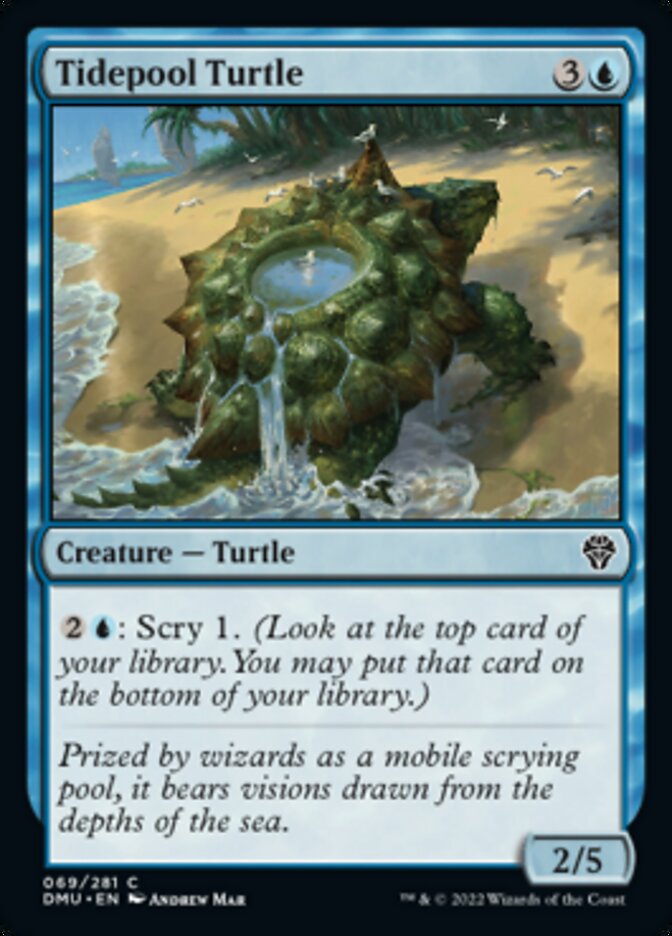 Tidepool Turtle [Dominaria United] | Devastation Store