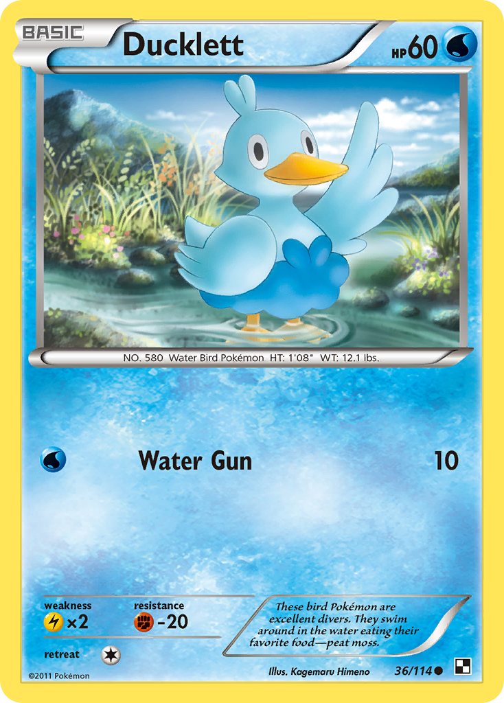 Ducklett (36/114) [Black & White: Base Set] | Devastation Store