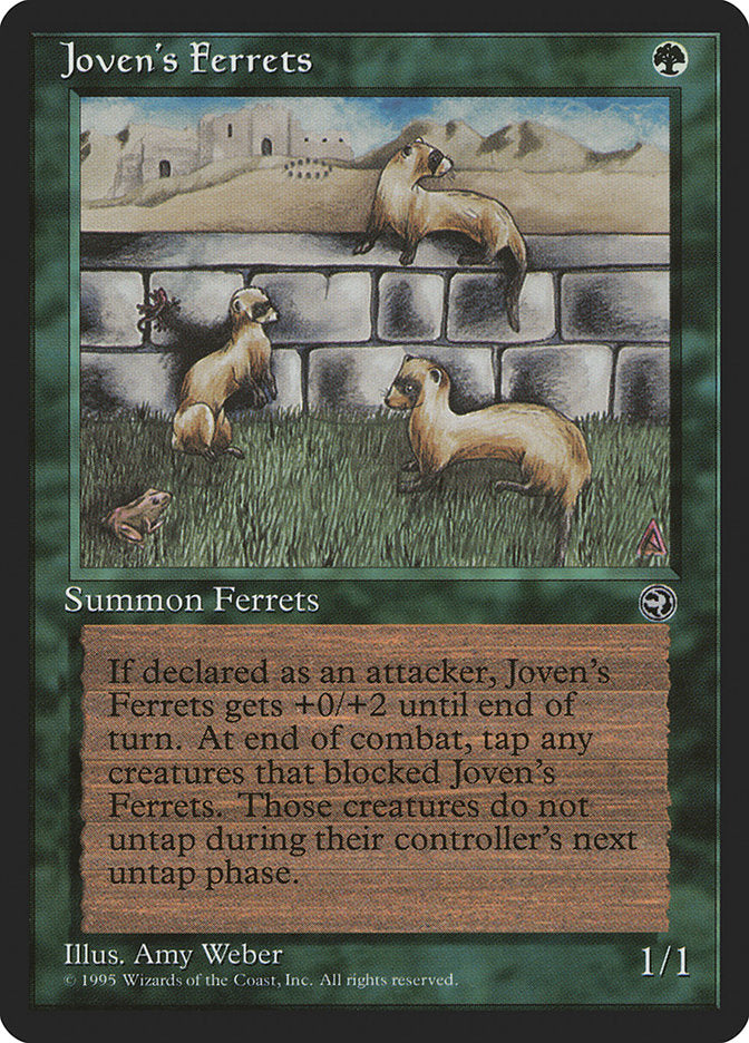 Joven's Ferrets [Homelands] - Devastation Store | Devastation Store