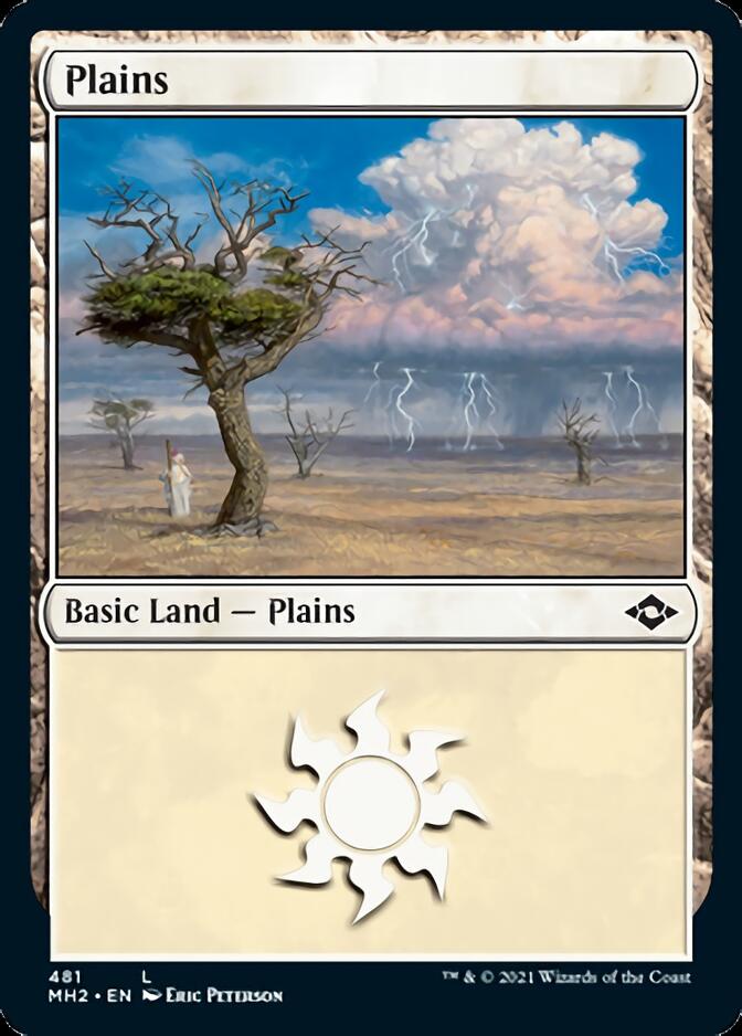 Plains (481) (Foil Etched) [Modern Horizons 2] | Devastation Store