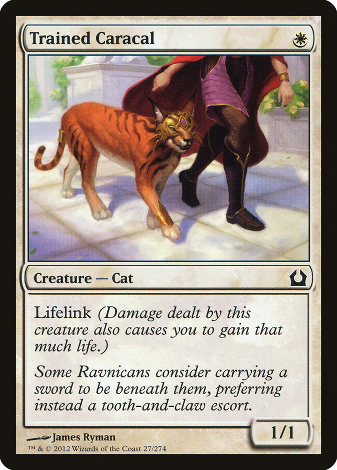 Trained Caracal [Return to Ravnica] - Devastation Store | Devastation Store