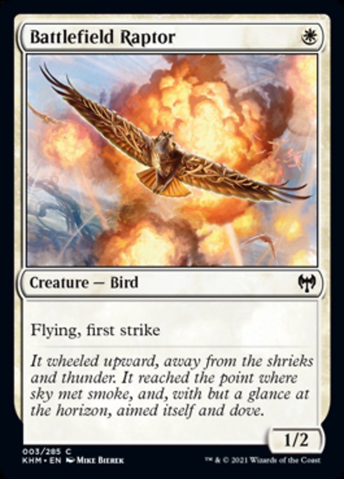 Battlefield Raptor [Kaldheim] | Devastation Store