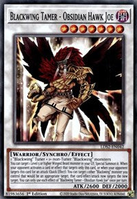 Blackwing Tamer - Obsidian Hawk Joe [LDS2-EN042] Common | Devastation Store