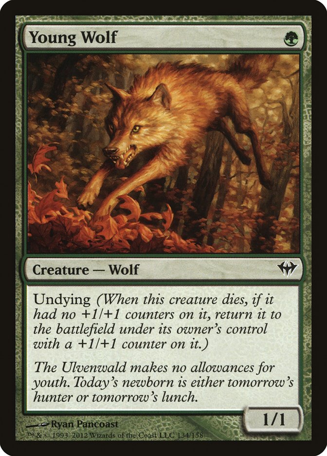 Young Wolf [Dark Ascension] - Devastation Store | Devastation Store