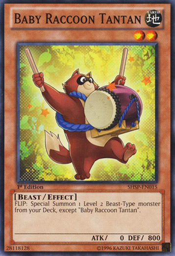 Baby Raccoon Tantan [SHSP-EN015] Common | Devastation Store