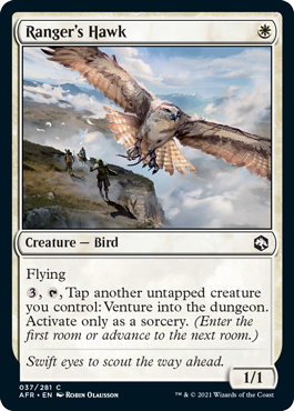 Ranger's Hawk [Dungeons & Dragons: Adventures in the Forgotten Realms] | Devastation Store