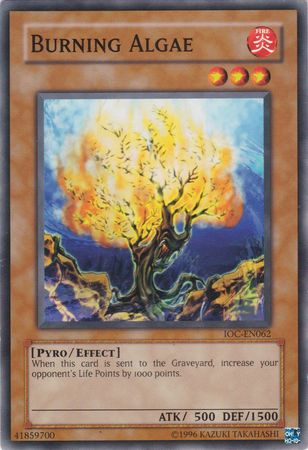 Burning Algae [IOC-EN062] Common | Devastation Store