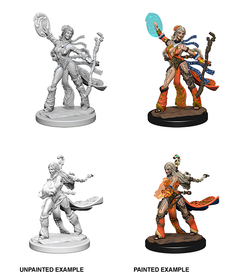 Pathfinder Deep Cuts Unpainted Minis: Human Female Sorcerer - Devastation Store | Devastation Store