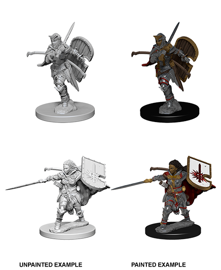 Pathfinder Deep Cuts Unpainted Minis: Human Female Paladin - Devastation Store | Devastation Store