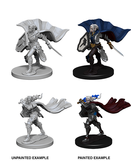 Pathfinder Deep Cuts Unpainted Miniatures: Elf Female Paladin - Devastation Store | Devastation Store