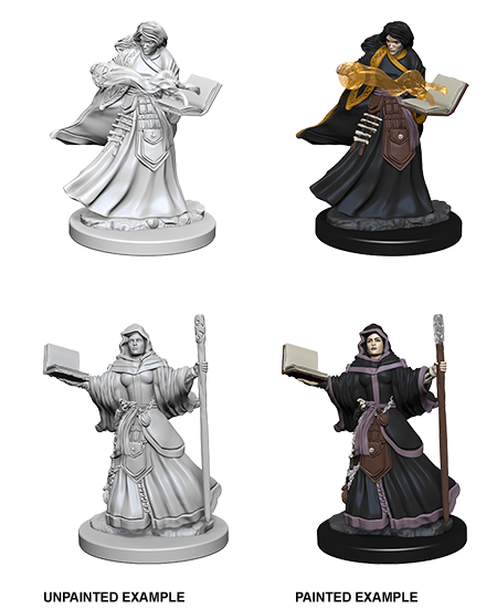 D&D Nolzur's Marvelous Miniatures: Human Wizard - Devastation Store | Devastation Store