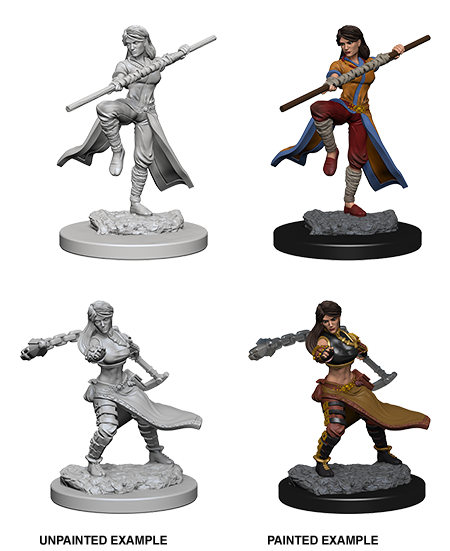 D&D Nolzur's Marvelous Miniatures: Human Monk - Devastation Store | Devastation Store