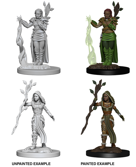 D&D Nolzur's Marvelous Miniatures: Human Druid - Devastation Store | Devastation Store