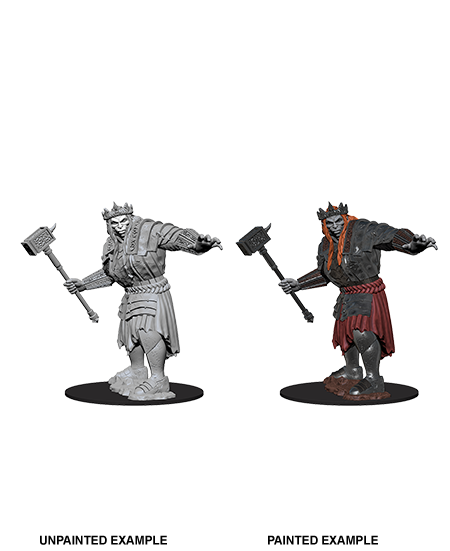 D&D Nolzur's Marvelous Miniatures: Giant - Devastation Store | Devastation Store