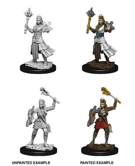 D&D Nolzur's Marvelous Miniatures: Human Cleric - Devastation Store | Devastation Store
