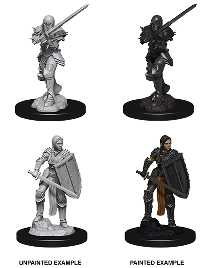 D&D Nolzur's Marvelous Miniatures: Human Fighter - Devastation Store | Devastation Store