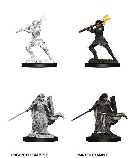 D&D Nolzur's Marvelous Miniatures: Human Paladin - Devastation Store | Devastation Store