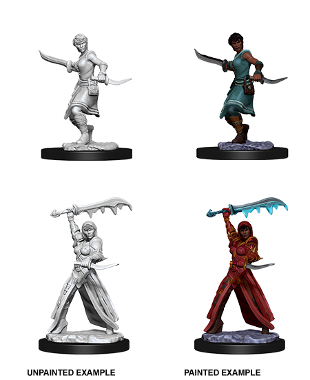 D&D Nolzur's Marvelous Miniatures: Human Rogue - Devastation Store | Devastation Store