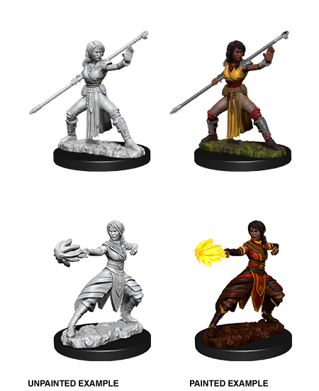 D&D Nolzur's Marvelous Miniatures: Half-Elf Monk - Devastation Store | Devastation Store
