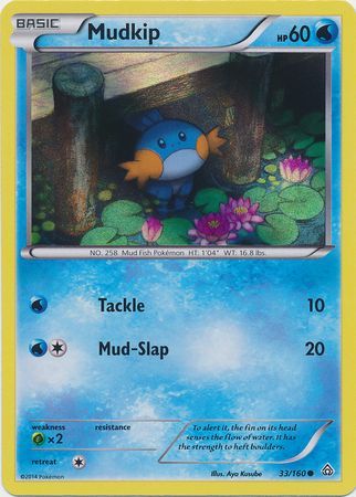 Mudkip (33/160) (Sheen Holo) [XY: Primal Clash] | Devastation Store