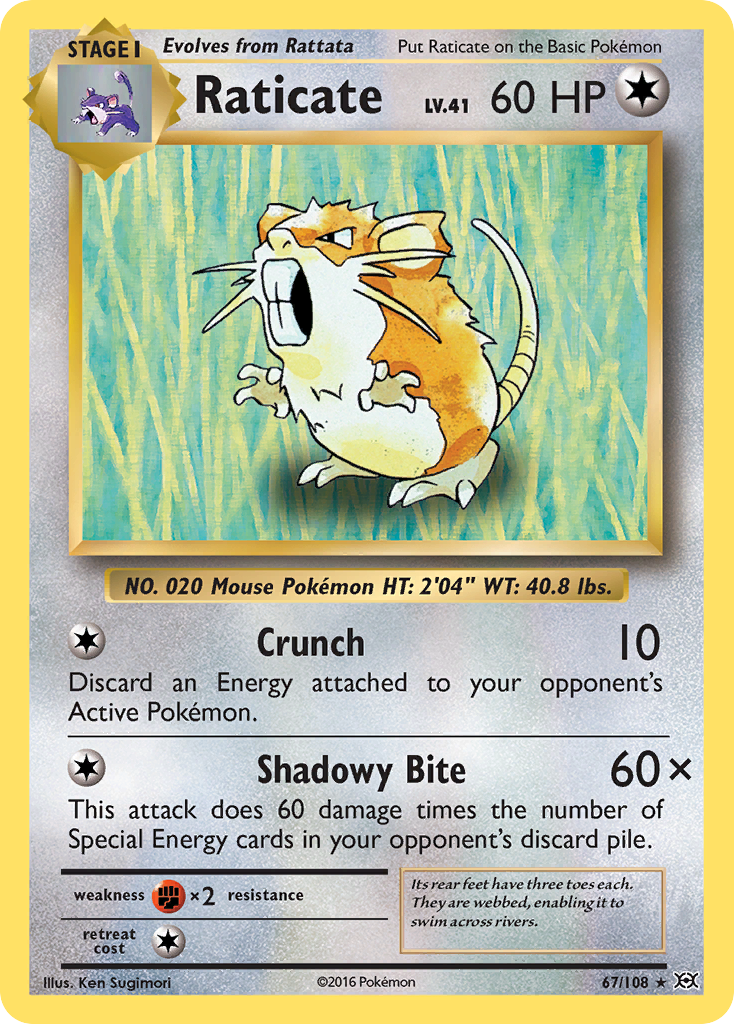 Raticate (67/108) [XY: Evolutions] | Devastation Store