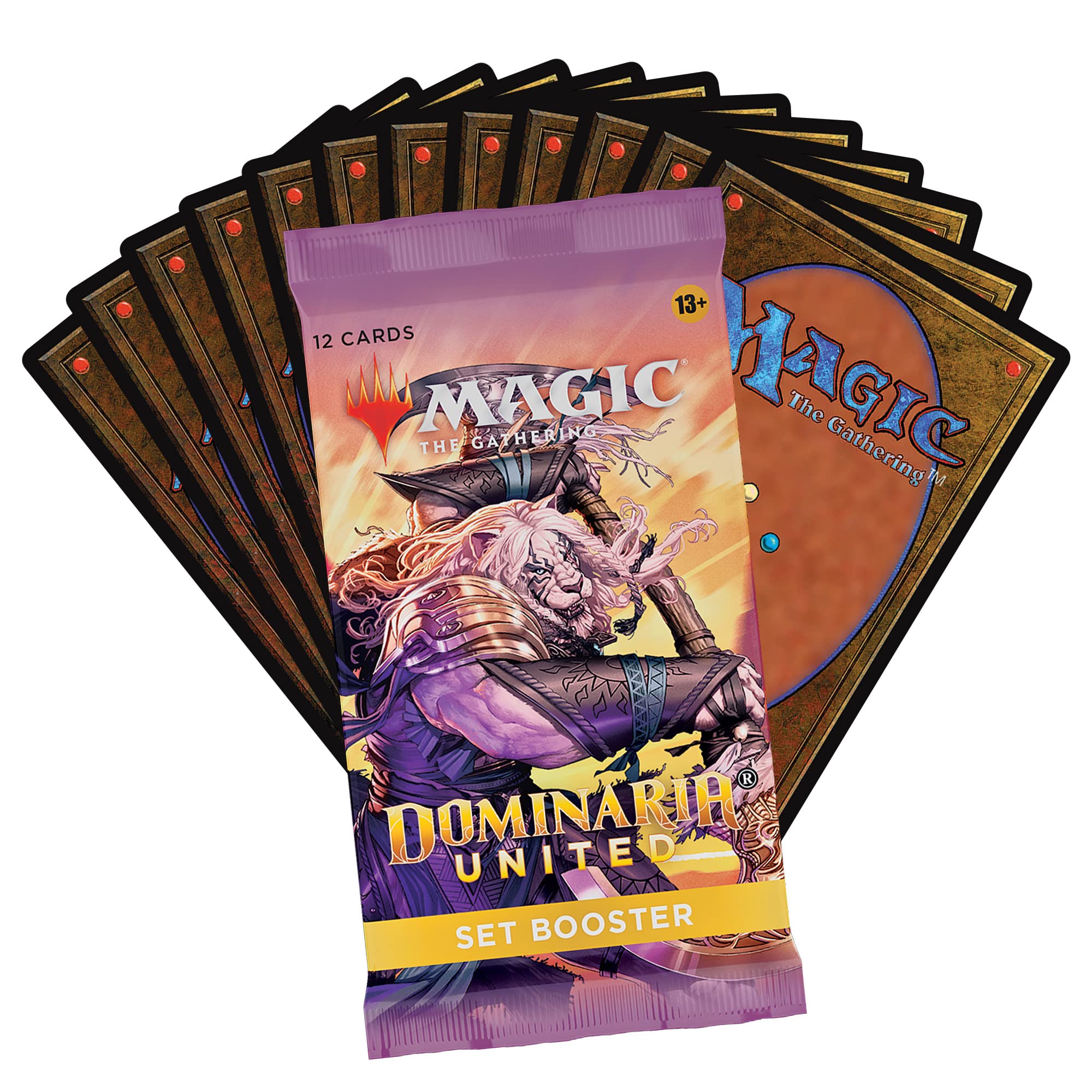 Dominaria United Set Booster MTG | Devastation Store