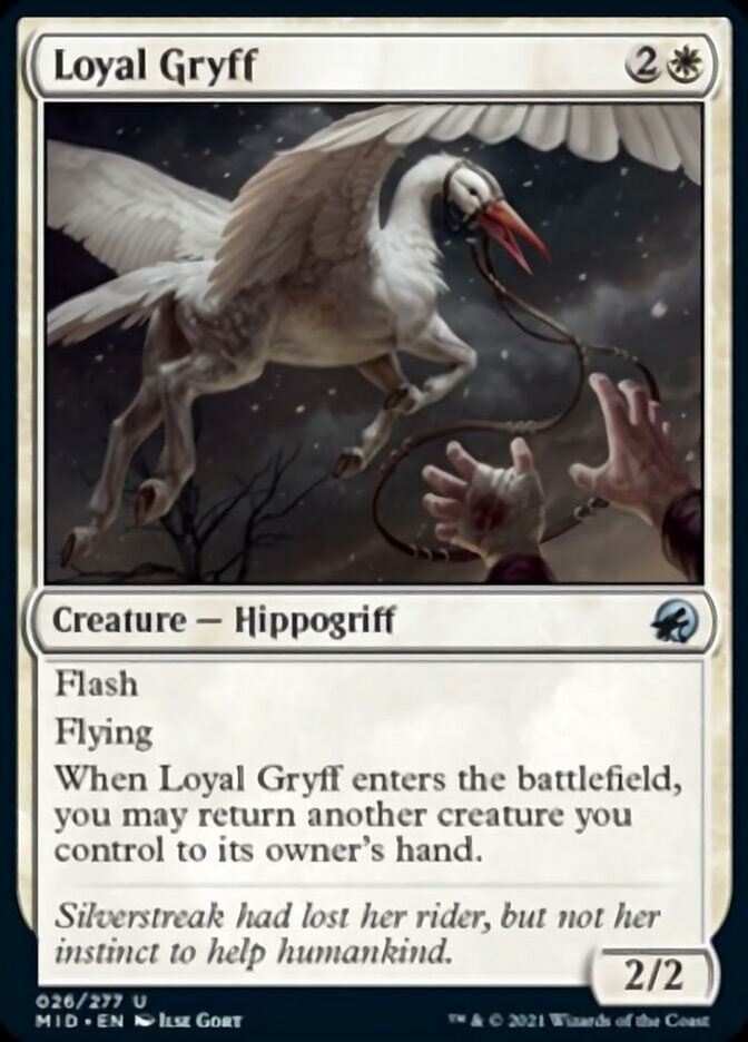 Loyal Gryff [Innistrad: Midnight Hunt] | Devastation Store