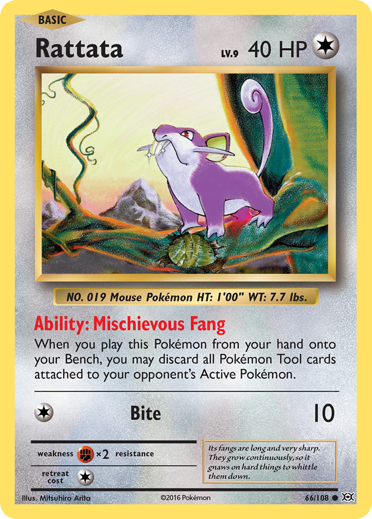 Rattata (66/108) [XY: Evolutions] | Devastation Store