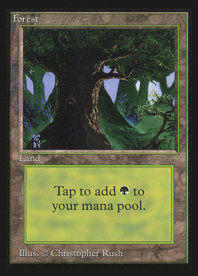 Forest (302) [Collectors’ Edition] | Devastation Store