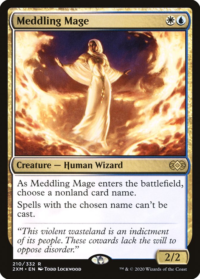 Meddling Mage [Double Masters] | Devastation Store