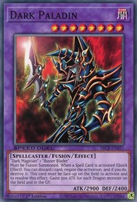 Dark Paladin [SBCB-EN021] Common | Devastation Store
