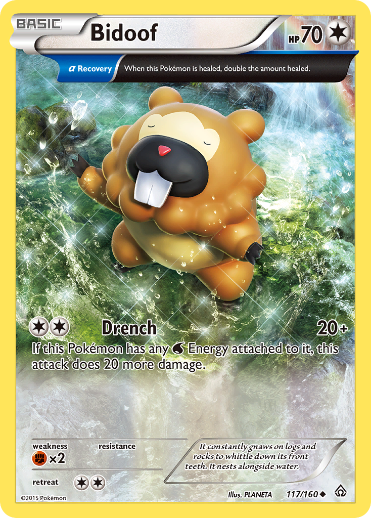 Bidoof (117/160) [XY: Primal Clash] | Devastation Store