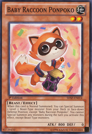 Baby Raccoon Ponpoko [SHSP-EN014] Common | Devastation Store