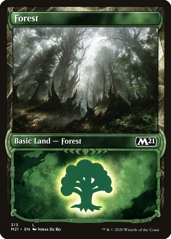 Forest (313) (Showcase) [Core Set 2021] | Devastation Store