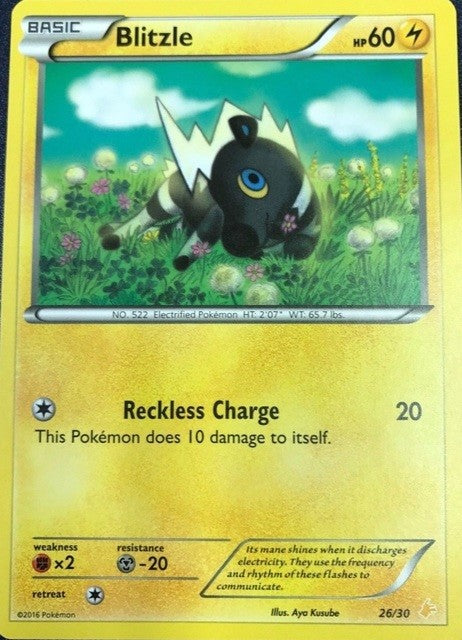 Blitzle (26/30) [XY: Trainer Kit 3 - Pikachu Libre] | Devastation Store