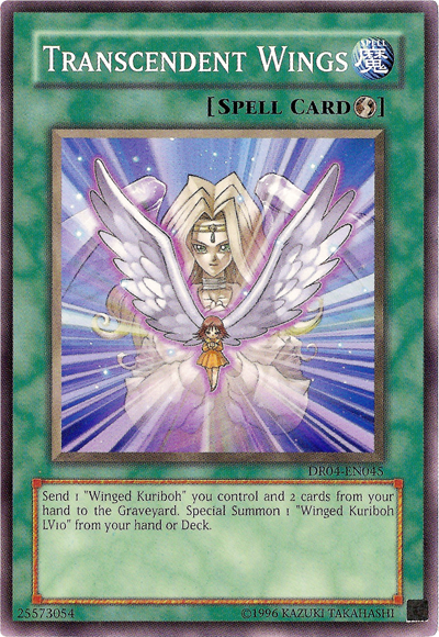 Transcendent Wings [DR04-EN045] Common | Devastation Store