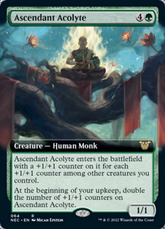 Ascendant Acolyte (Extended) [Kamigawa: Neon Dynasty Commander] | Devastation Store