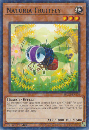 Naturia Fruitfly (Duel Terminal) [HAC1-EN106] Common | Devastation Store