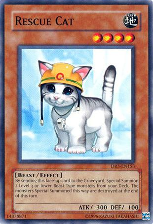 Rescue Cat [DR3-EN153] Common | Devastation Store