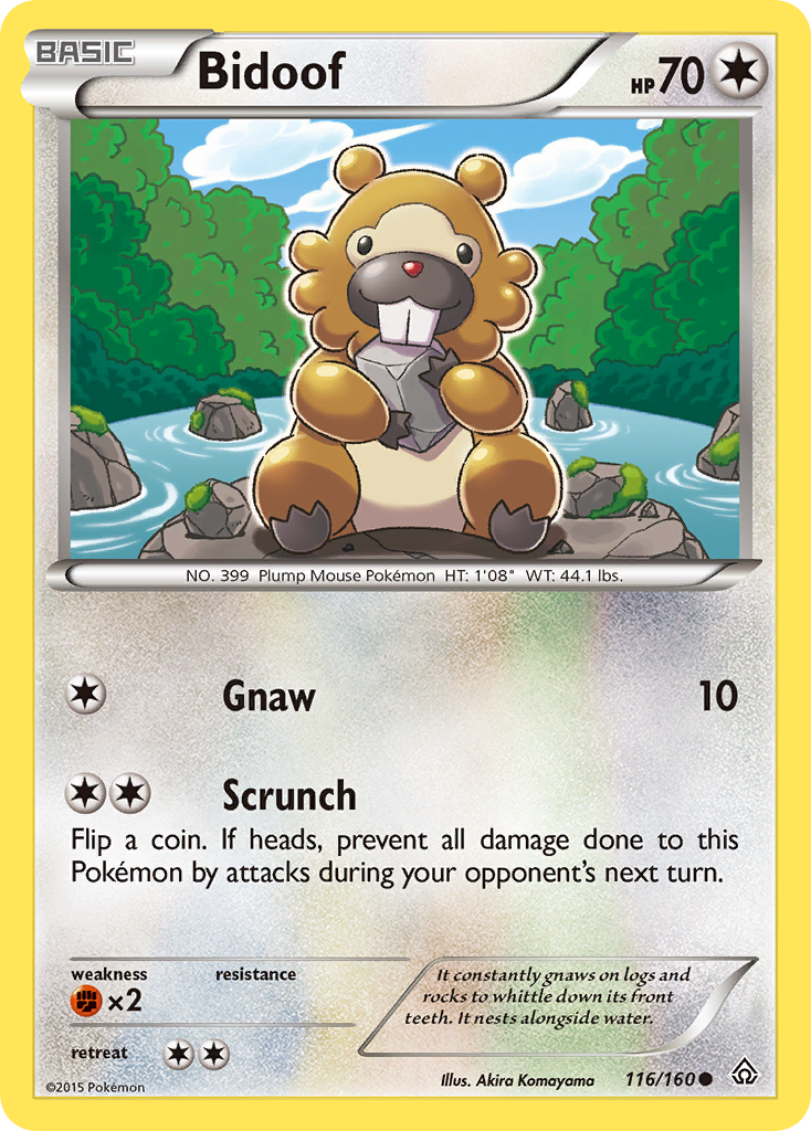 Bidoof (116/160) [XY: Primal Clash] | Devastation Store