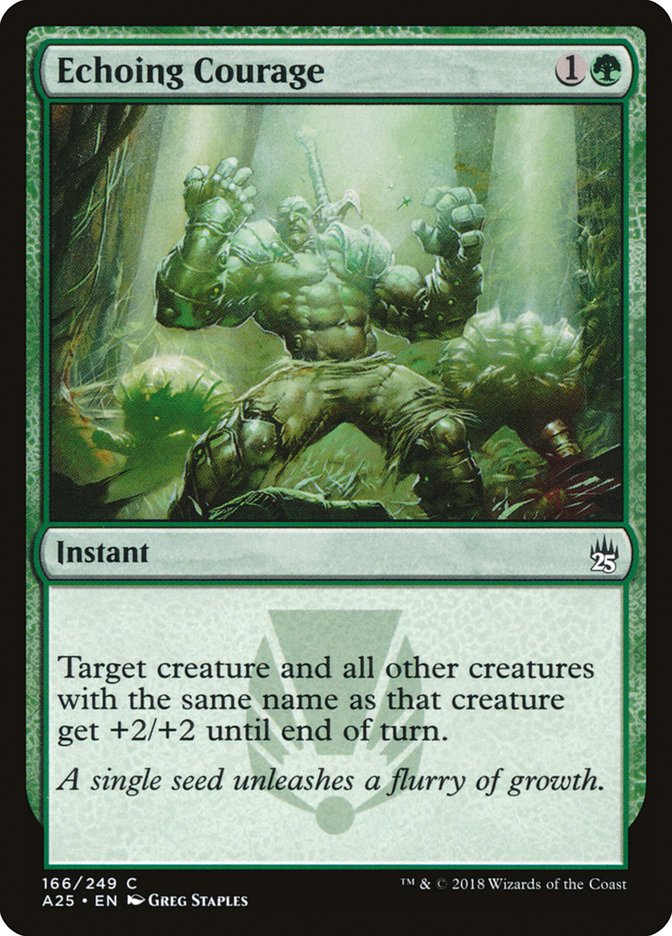 Echoing Courage [Masters 25] - Devastation Store | Devastation Store