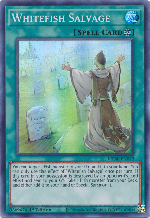 Whitefish Salvage [MP20-EN099] Super Rare | Devastation Store